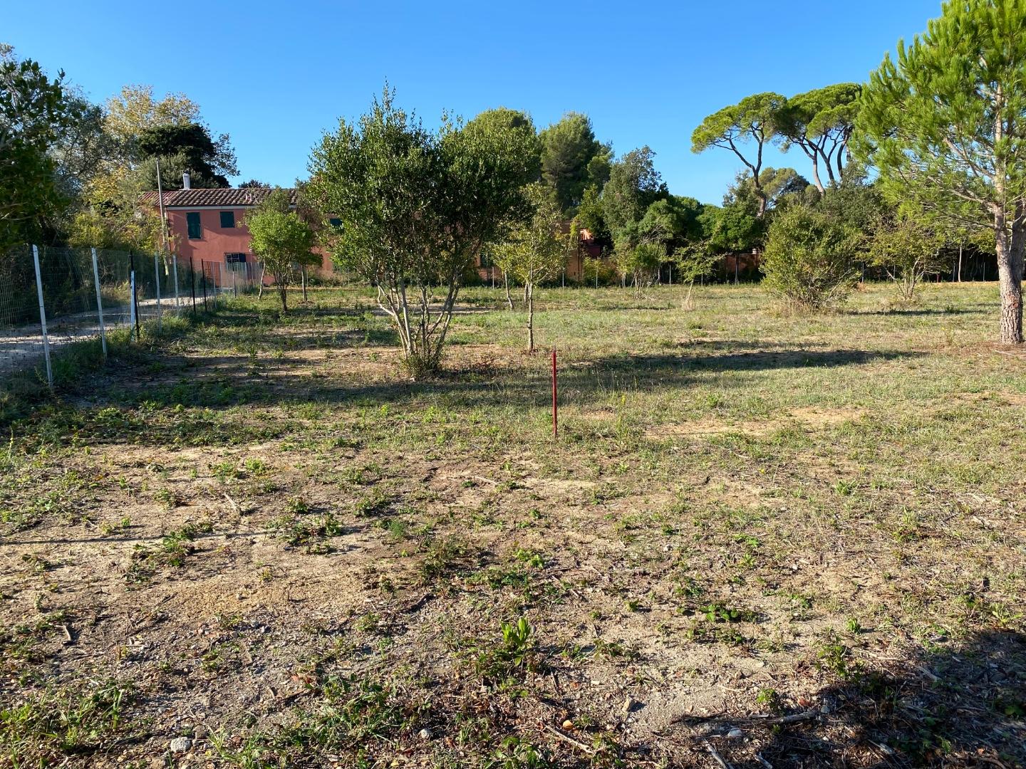 Terreno agricolo in affitto a Antignano, Banditella, Montenero Basso, Montenero Alto, Quercianella, Livorno (LI)