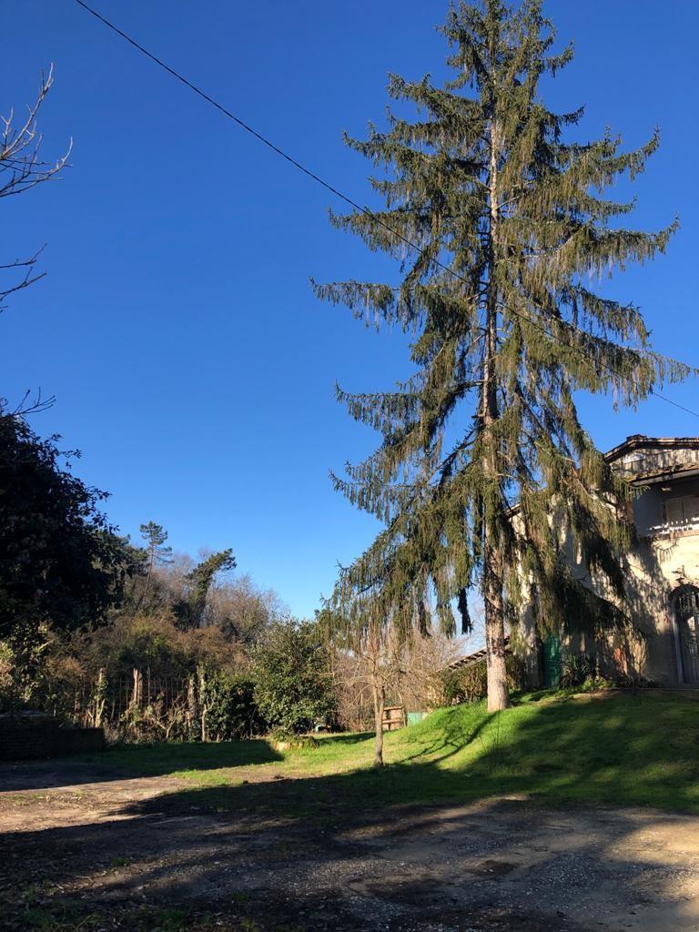 Rustico in vendita - Montopoli in Val d'Arno
