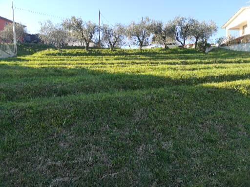 Terreno edif. residenziale in vendita a Sarzana (SP)