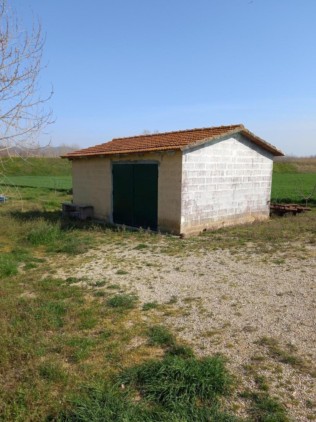 Agricultural outbuilding in Collesalvetti