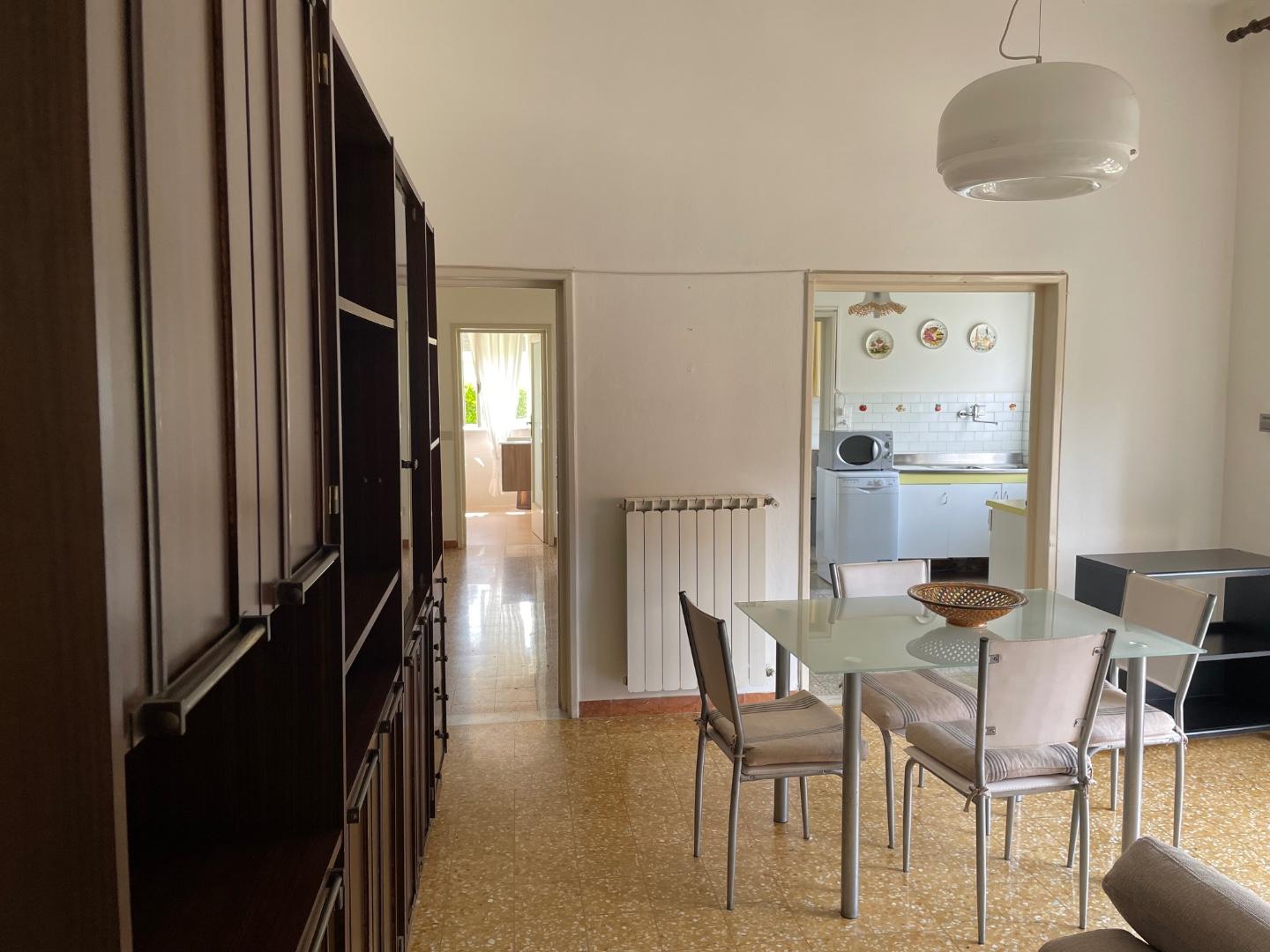 Appartamento in affitto - Pietrasanta