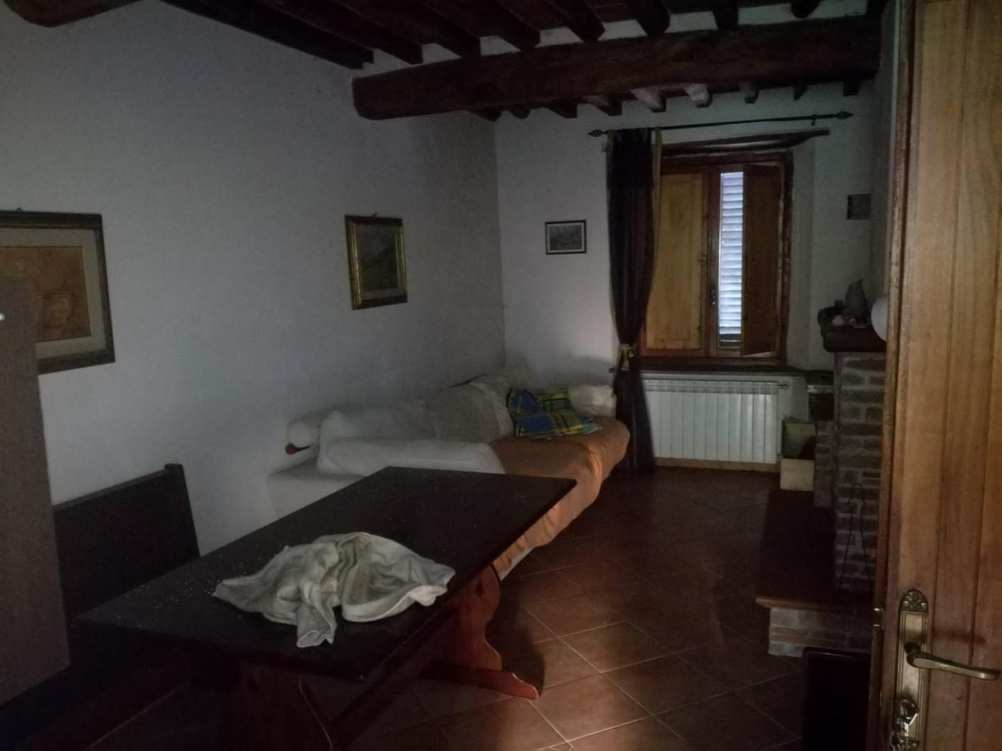 Appartamento in vendita a Borgo a Mozzano (LU)