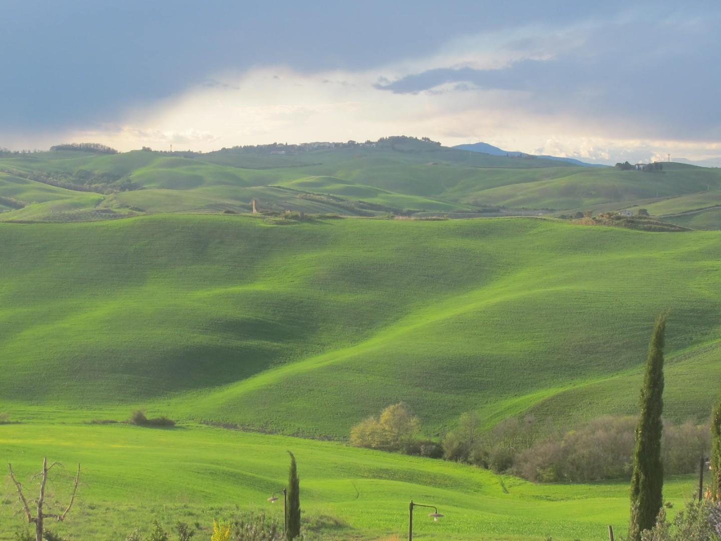 Terreno edif. residenziale a Terricciola