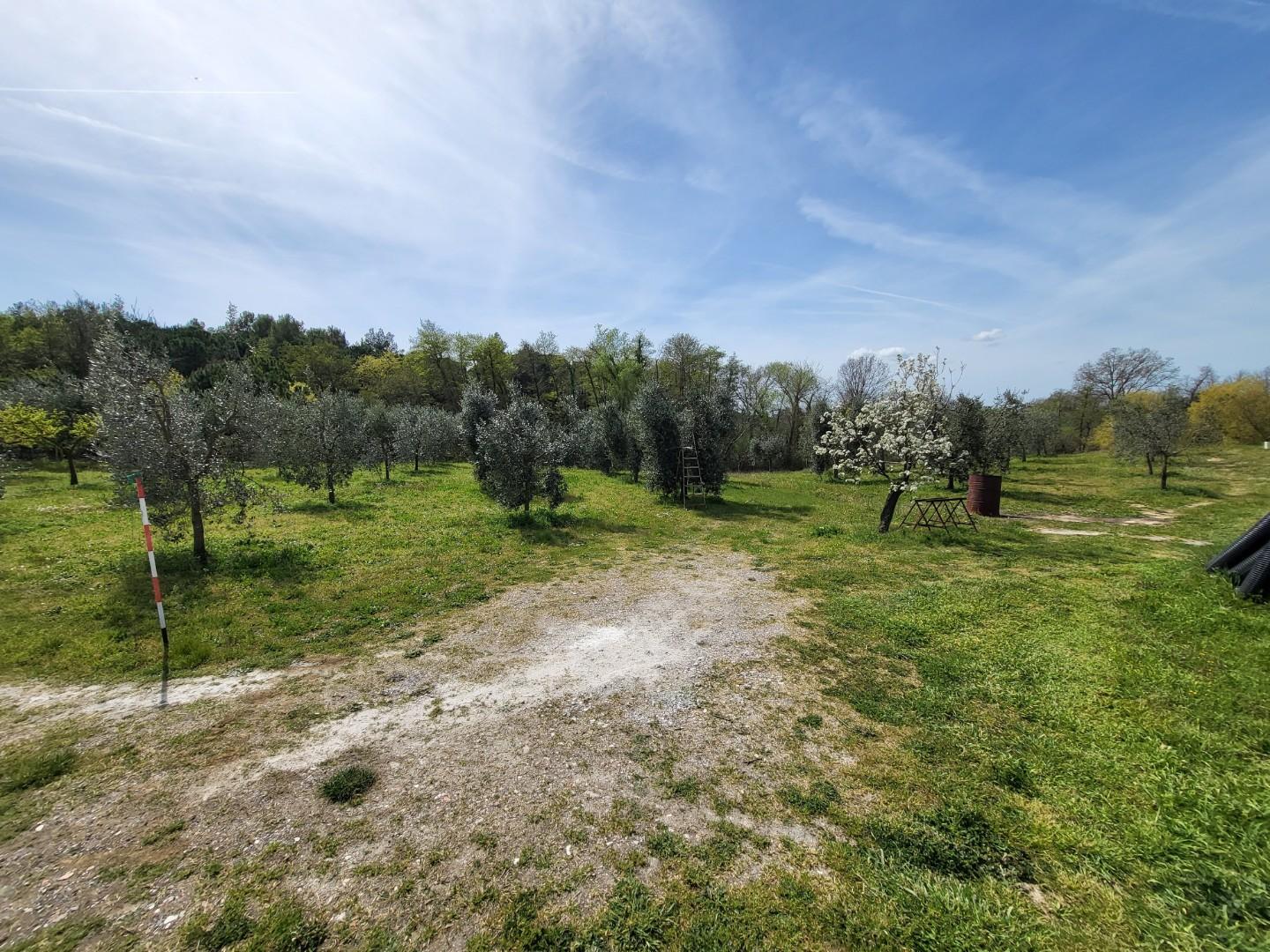 Terreno agricolo in vendita a Casciana Terme Lari (5/7)