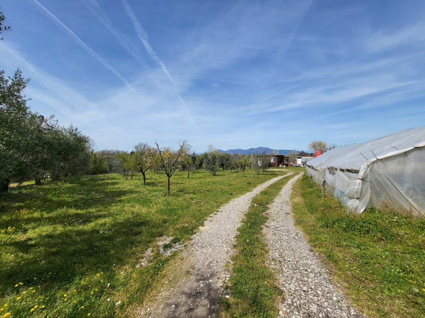 Terreno agricolo in vendita a Casciana Terme Lari (3/7)