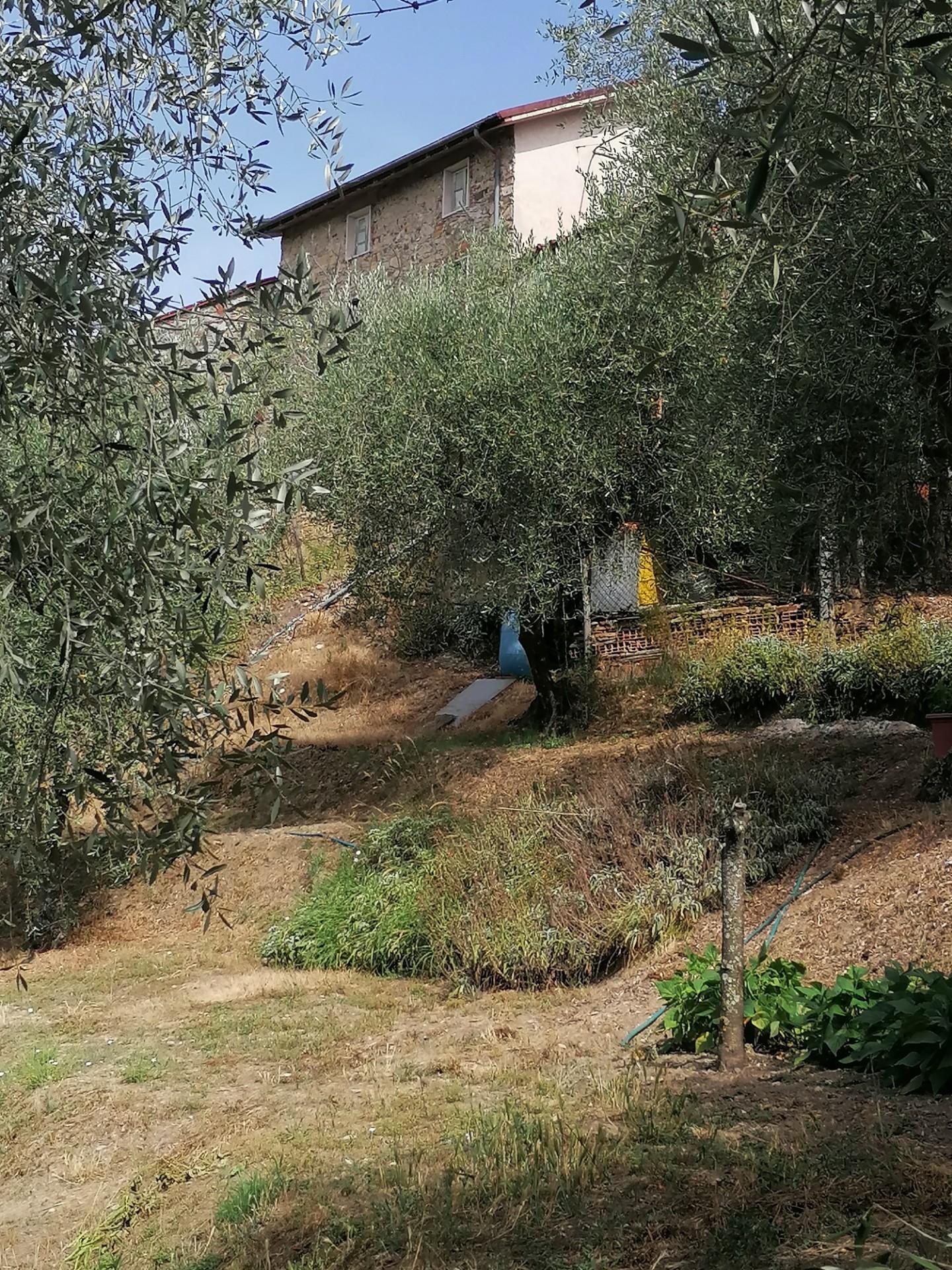 Terratetto in vendita a Piazzano, Lucca