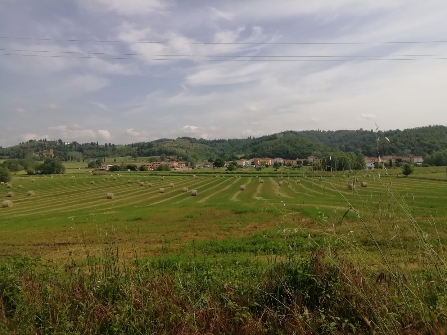 Terreno agricolo in vendita a Montaione (FI)