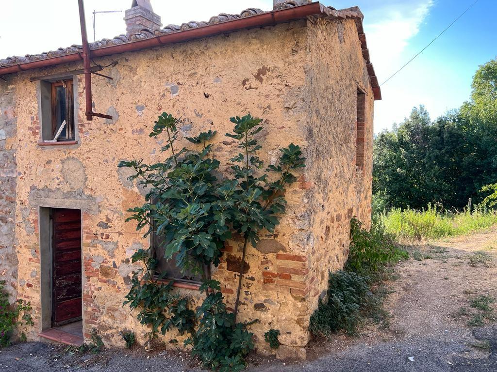 Apartment for sale in Monticiano (SI)