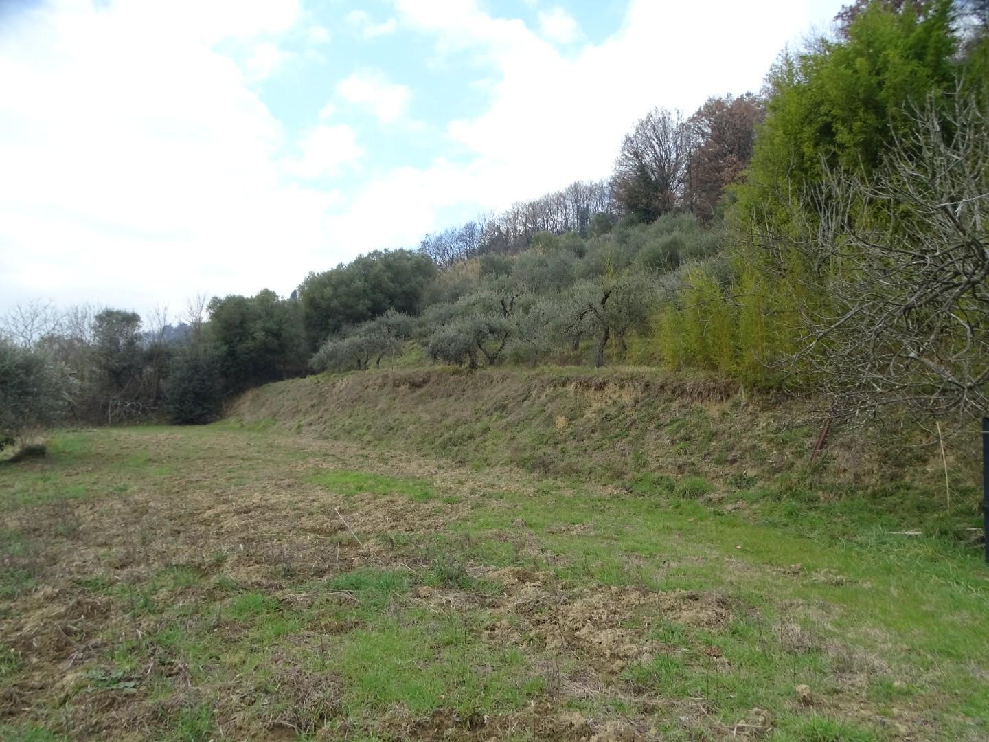 Terreno agricolo in vendita a Castelfranco di Sotto (PI)
