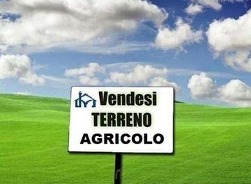 Terreno agricolo in vendita a San Giuliano Terme (PI)