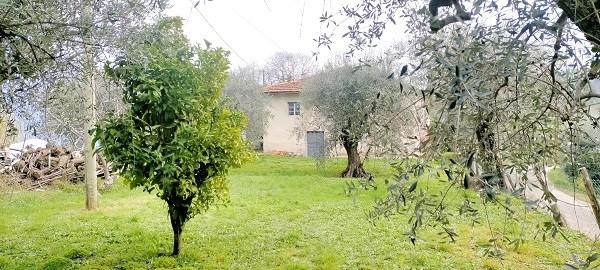 Casa singola in vendita - Bargecchia, Massarosa