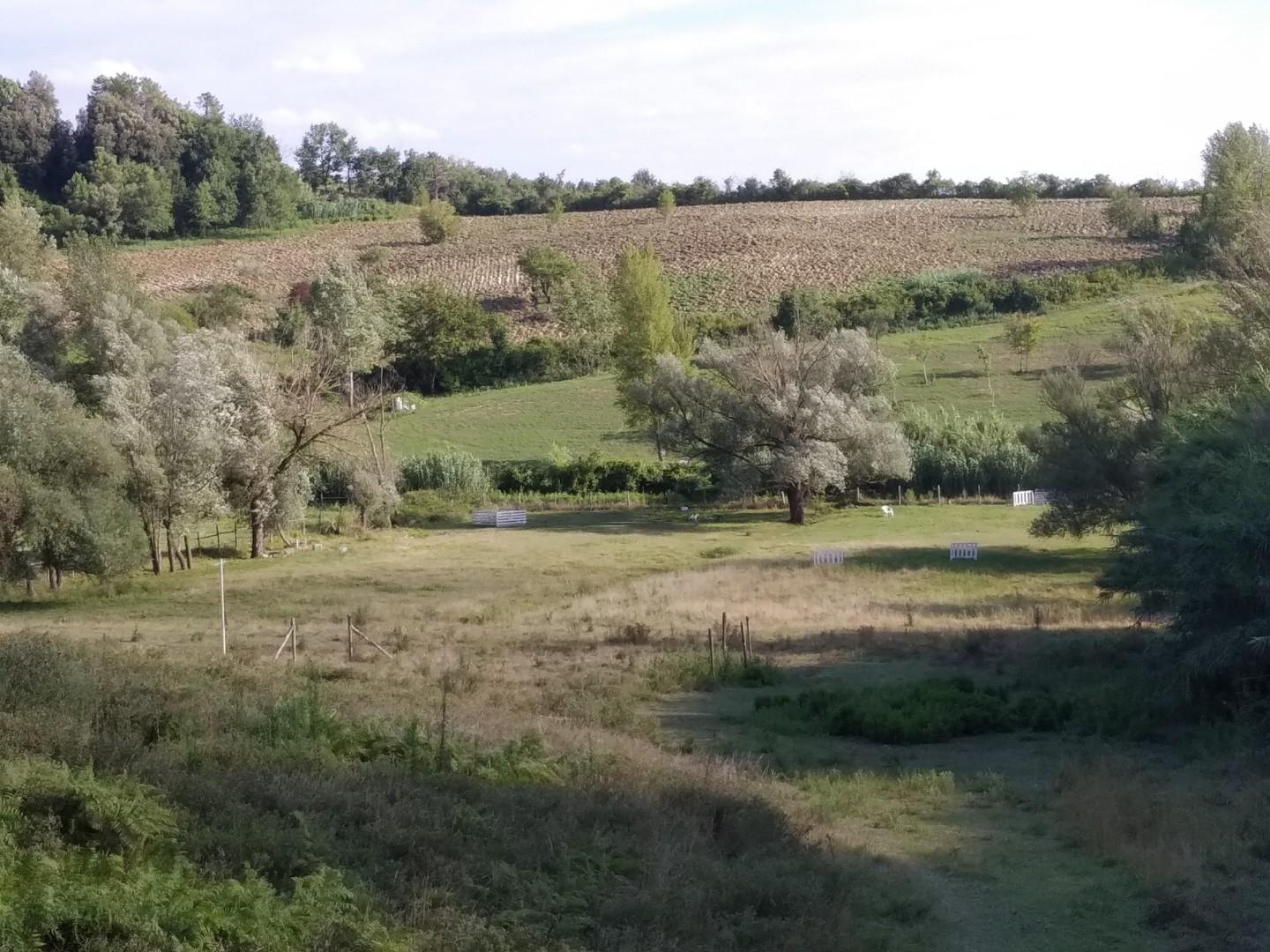 Terreno agricolo in vendita a Crespina Lorenzana (PI)