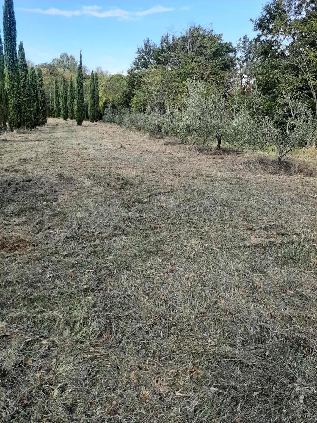 Agricultural plot in Casciana Terme Lari