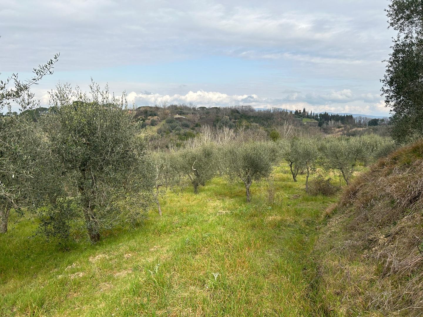 Terreno agricolo in vendita a Empoli (FI)