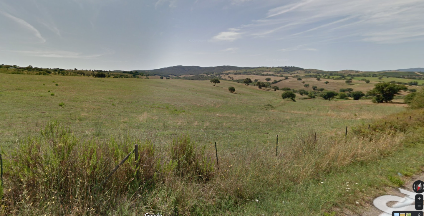 Terreno agricolo in vendita a Grosseto