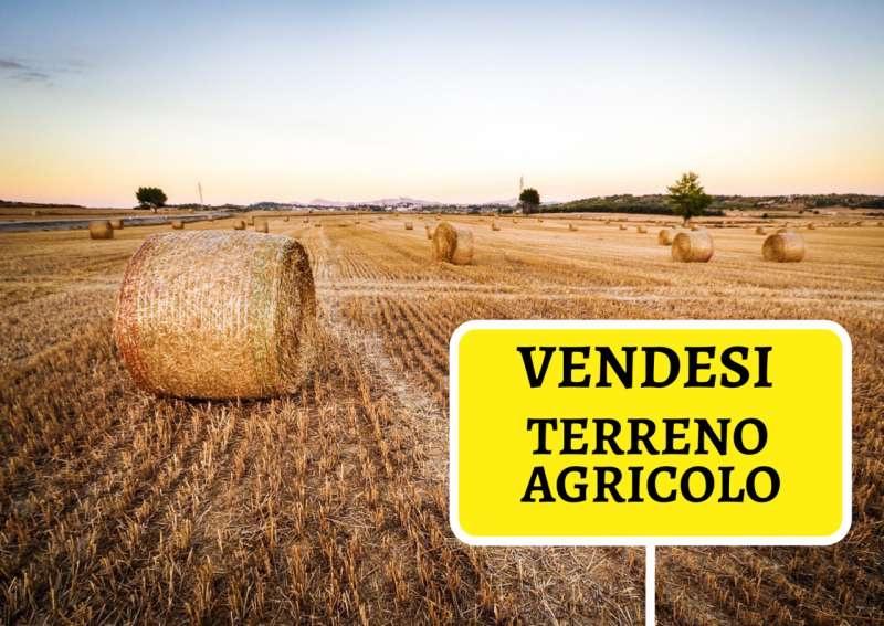 Terreno agricolo in vendita a Cascina (PI)