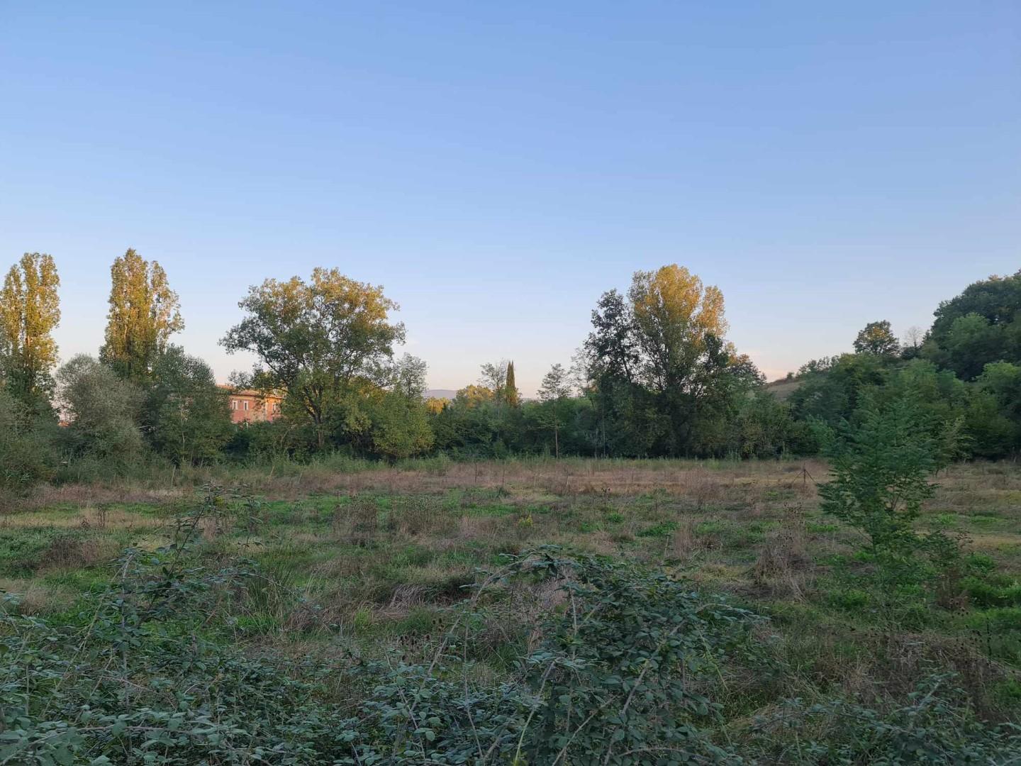 Terreno agricolo in vendita a Gracciano Dell'elsa, Colle Di Val D'elsa (SI)
