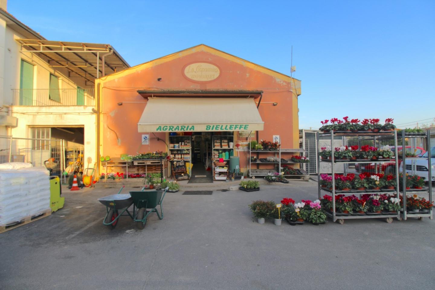 Negozio in vendita a Casciana Terme Lari (PI)