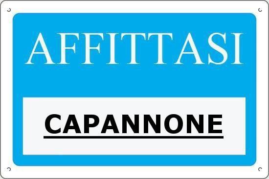 Capannone in affitto a Montelupo Fiorentino (FI)
