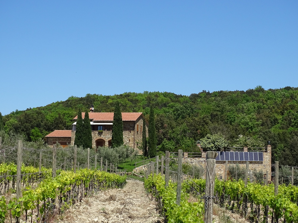 Terreno agricolo in vendita a Montalcino (SI)