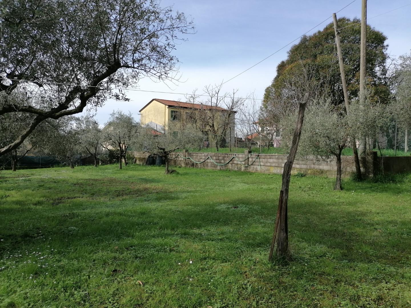 Terreno edificabile in vendita a Bonascola, Carrara (MS)
