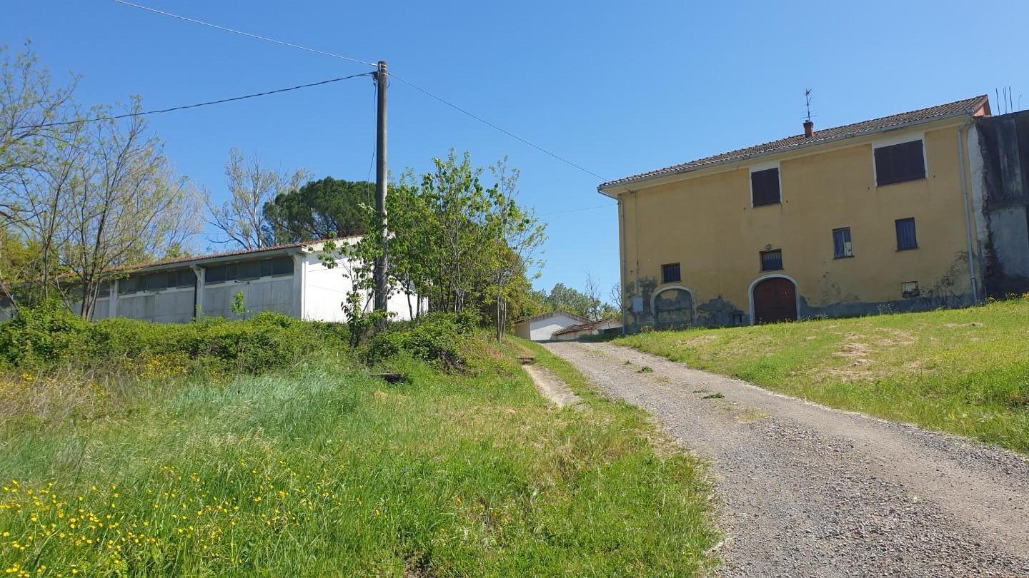 Farmhouse in Peccioli