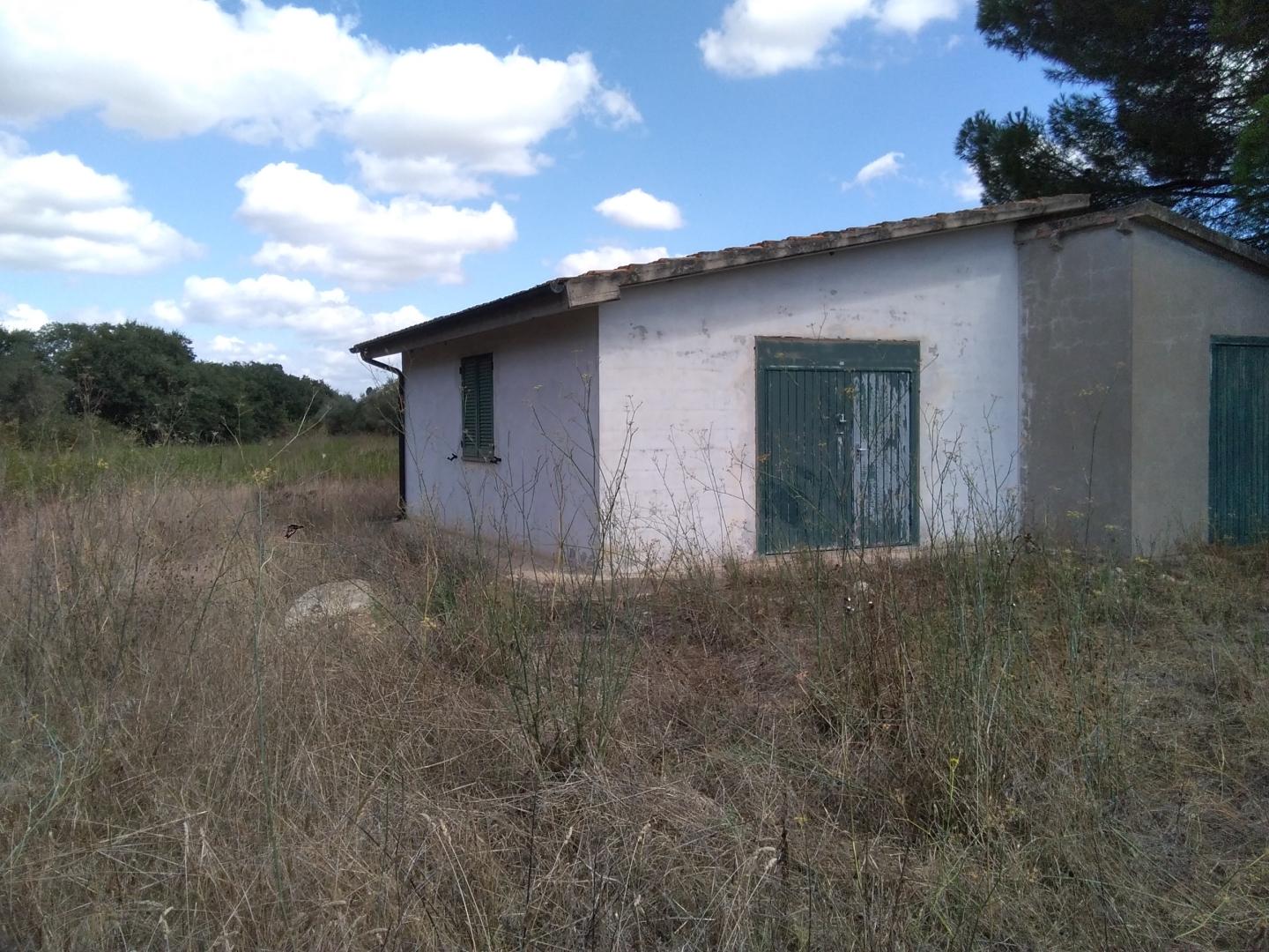 Agricultural outbuilding for sale in Piombino (LI)