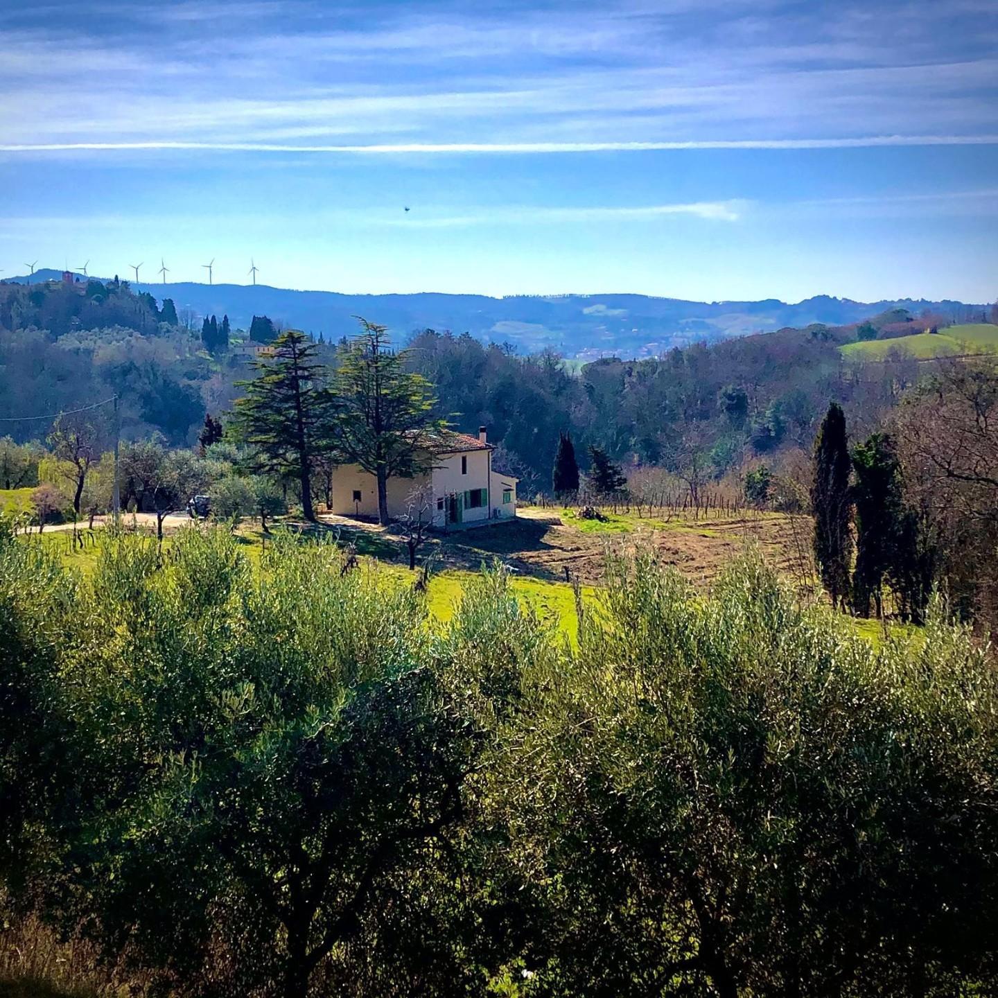 Villa - Terricciola (4/55)