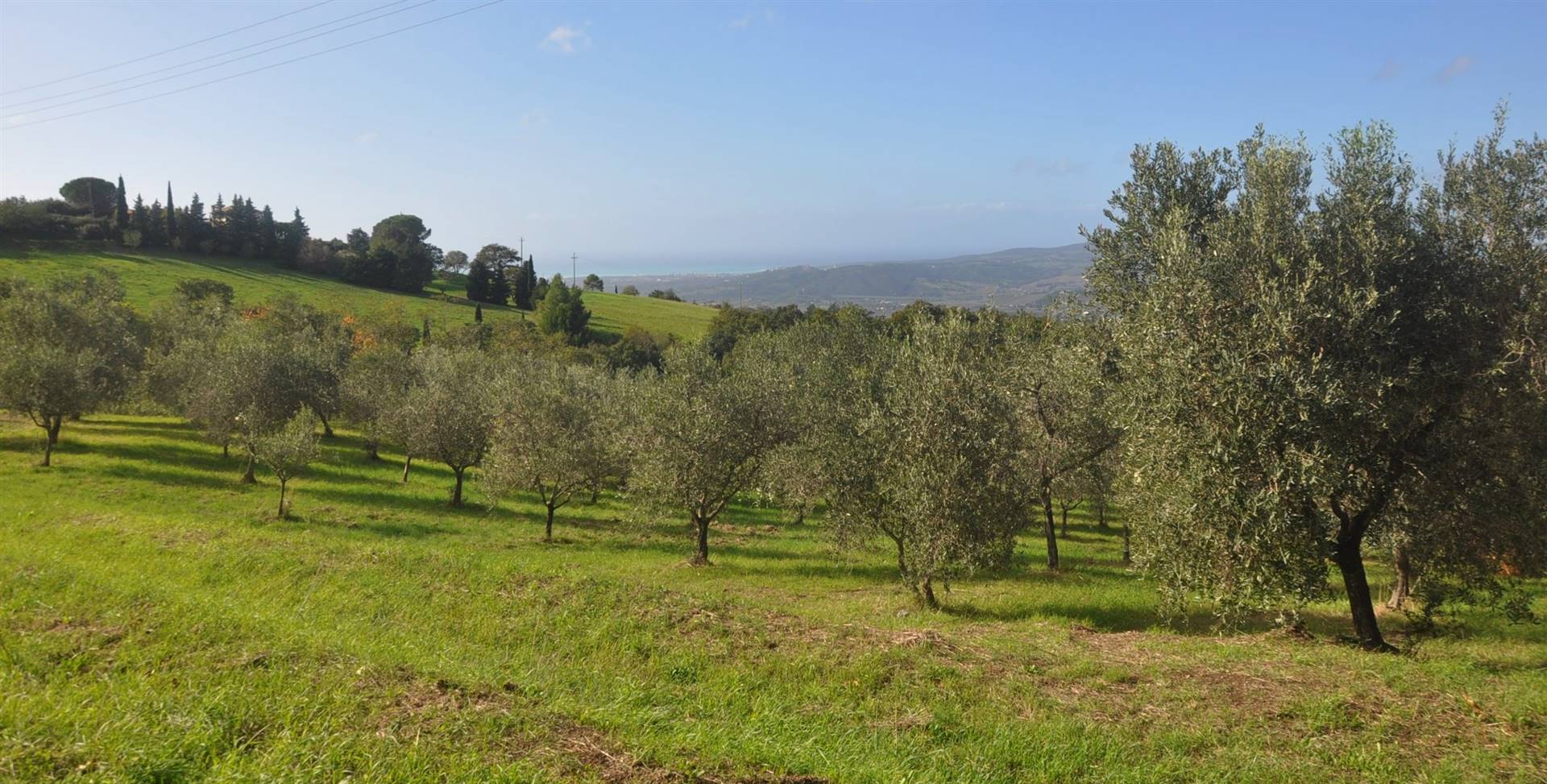 Terreno agricolo in vendita a Castellina Marittima (PI)