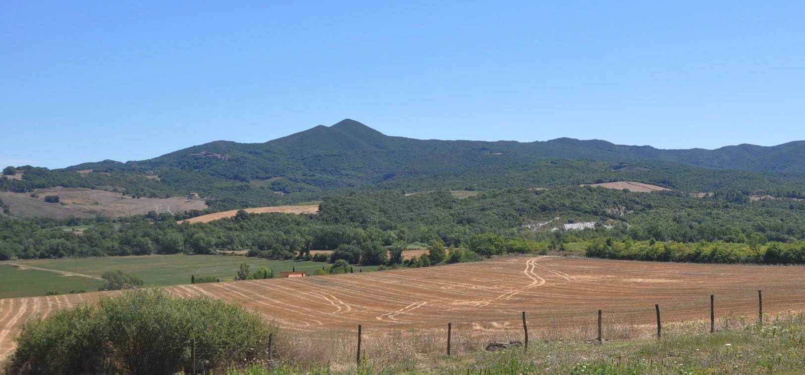 Terreno agricolo in vendita a Bibbona (LI)