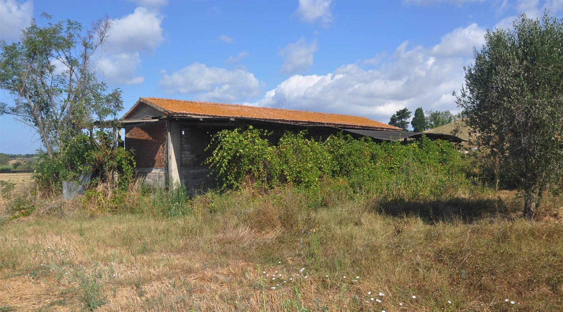 Annesso agricolo in vendita a Rosignano Marittimo (LI)