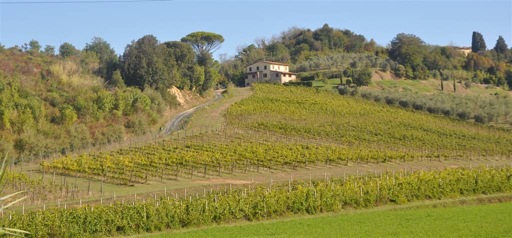 Azienda agricola in vendita a Casciana Terme Lari (PI)