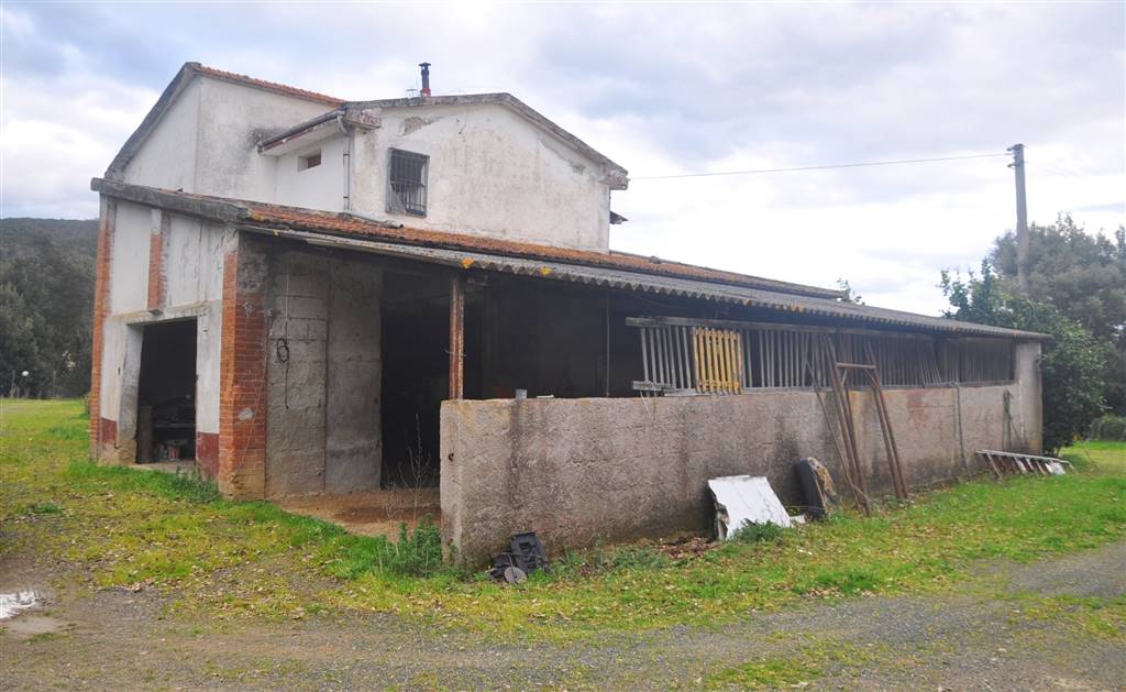 Azienda agricola in vendita a Montecatini Val di Cecina (PI)