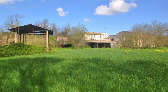 Azienda agricola in vendita a Rosignano Marittimo (LI)