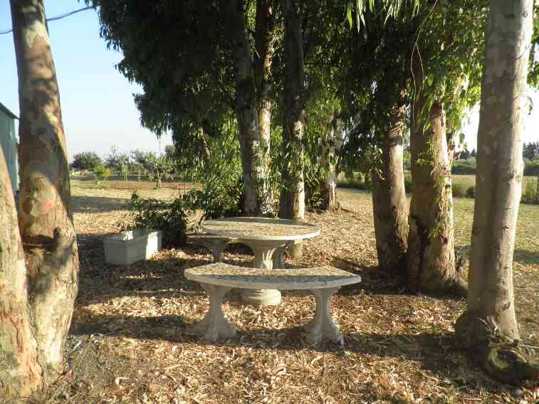 Annesso agricolo in vendita a Rosignano Marittimo (LI)