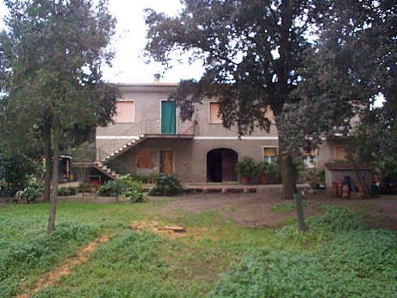 Azienda agricola in vendita a Castagneto Carducci (LI)