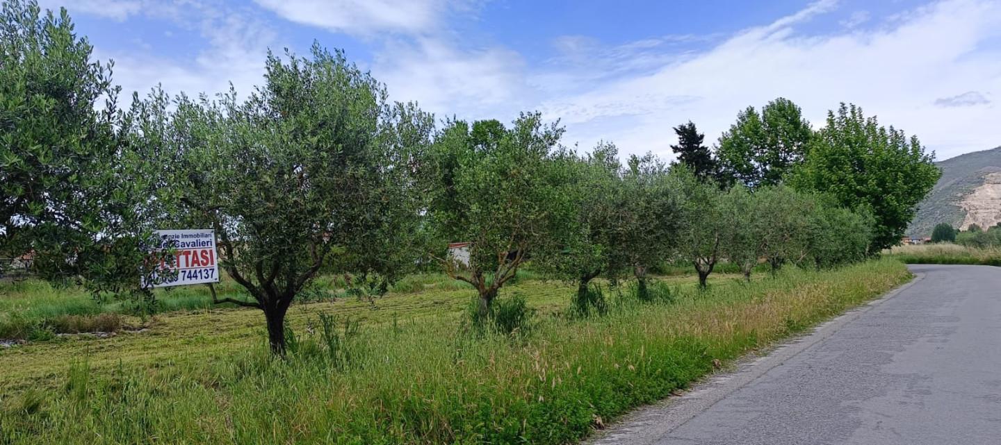Terreno agricolo in affitto a San Giorgio, Cascina (PI)