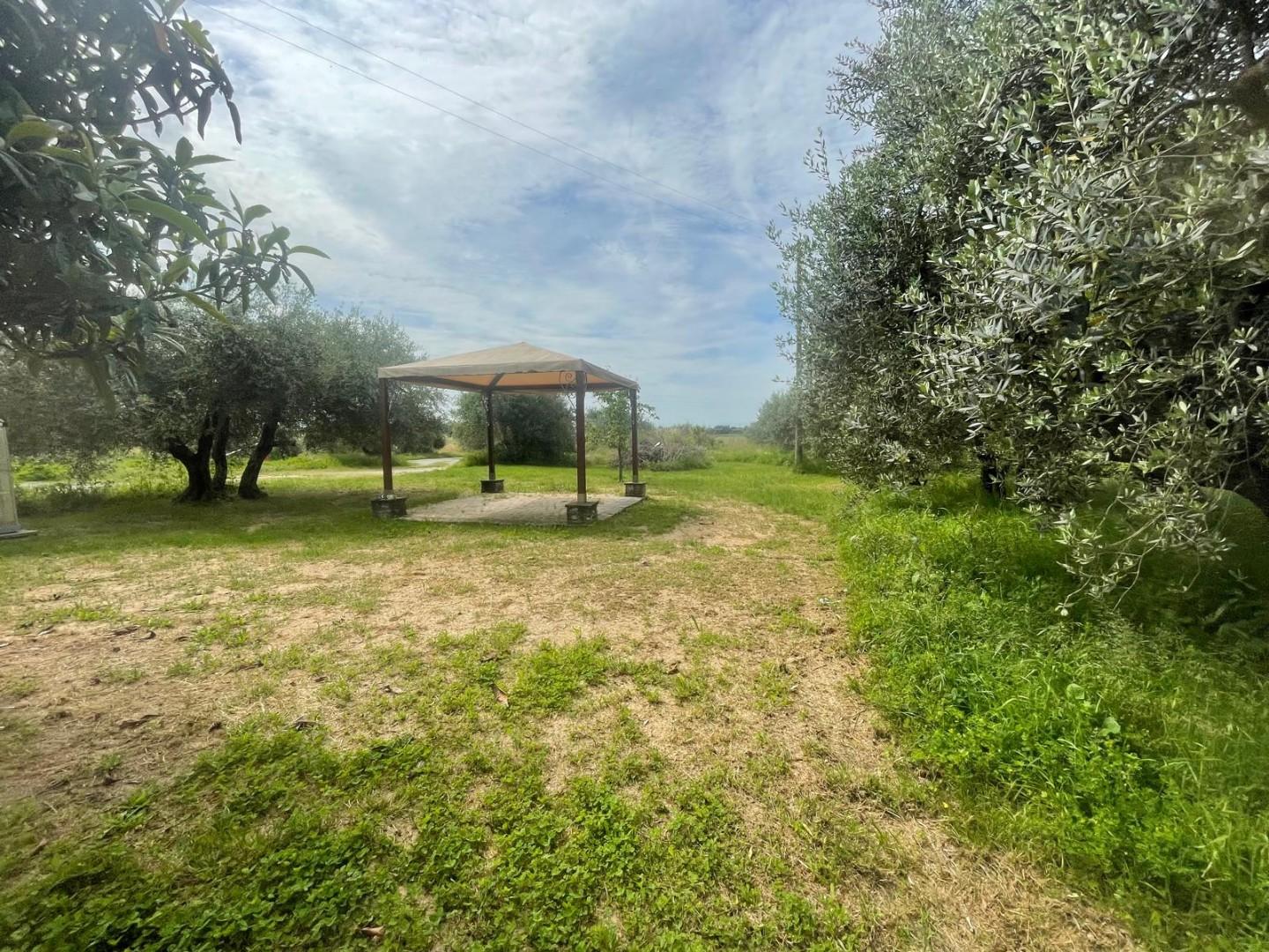 Terreno edificabile in vendita a Micheloni, Montecarlo (LU)