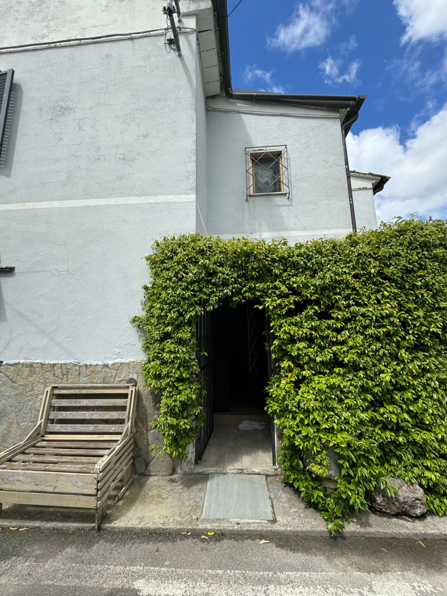 Appartamento in affitto a Colignola, San Giuliano Terme (PI)