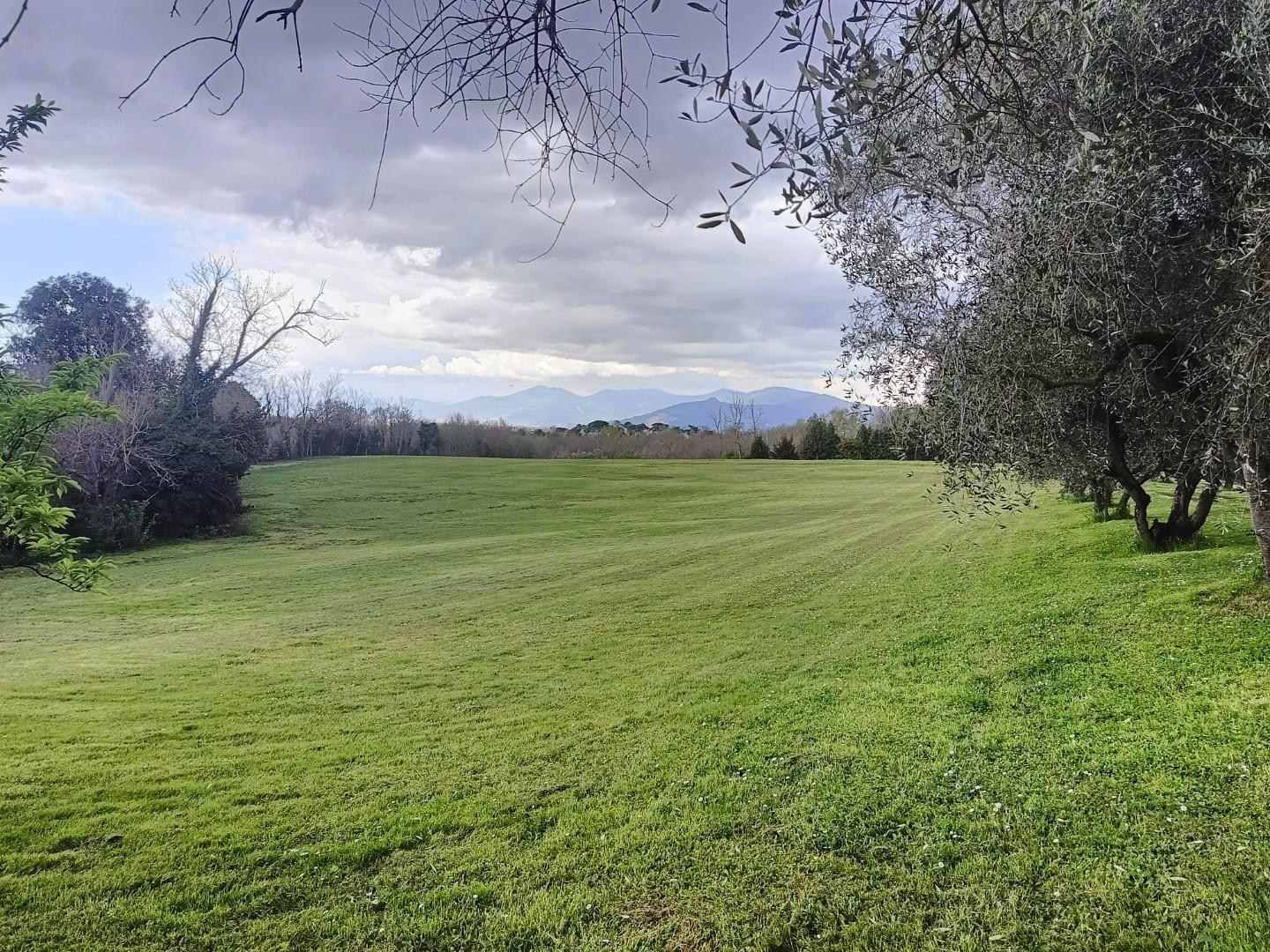 Villa - Pisa (3/28)