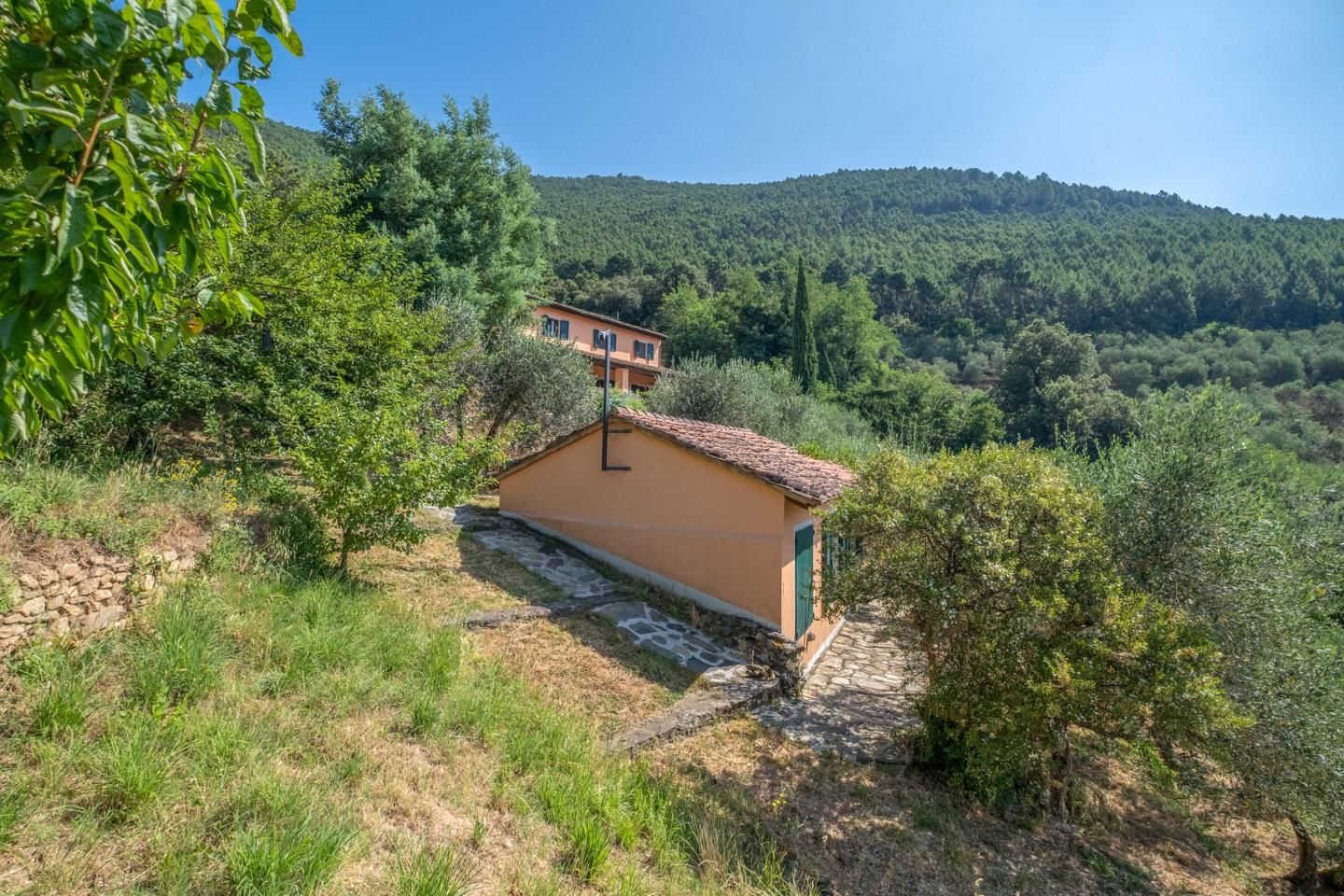Rustico - Vicopisano (38/83)