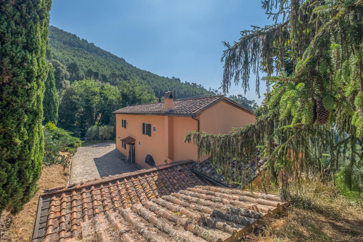 Rustico - Vicopisano (46/83)