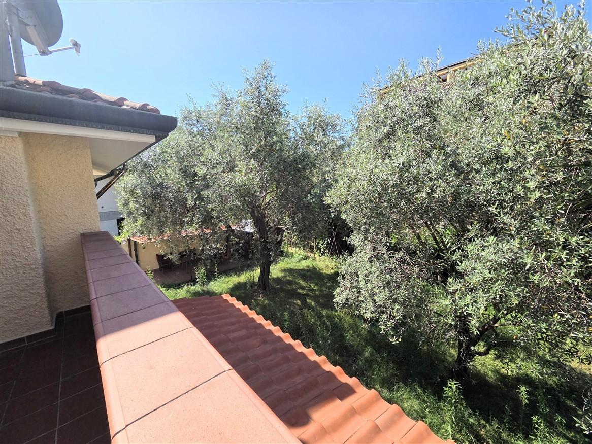 Villa - Massa (41/41)