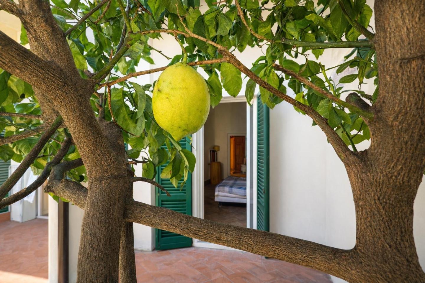 Appartamento - San Francesco, Pisa (35/42)