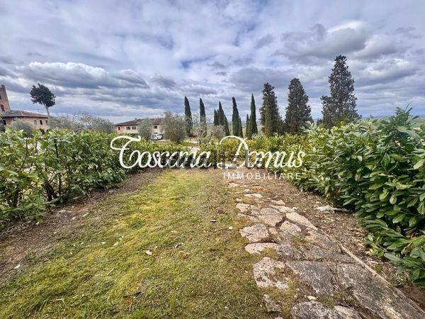 Terratetto in vendita a Asciano