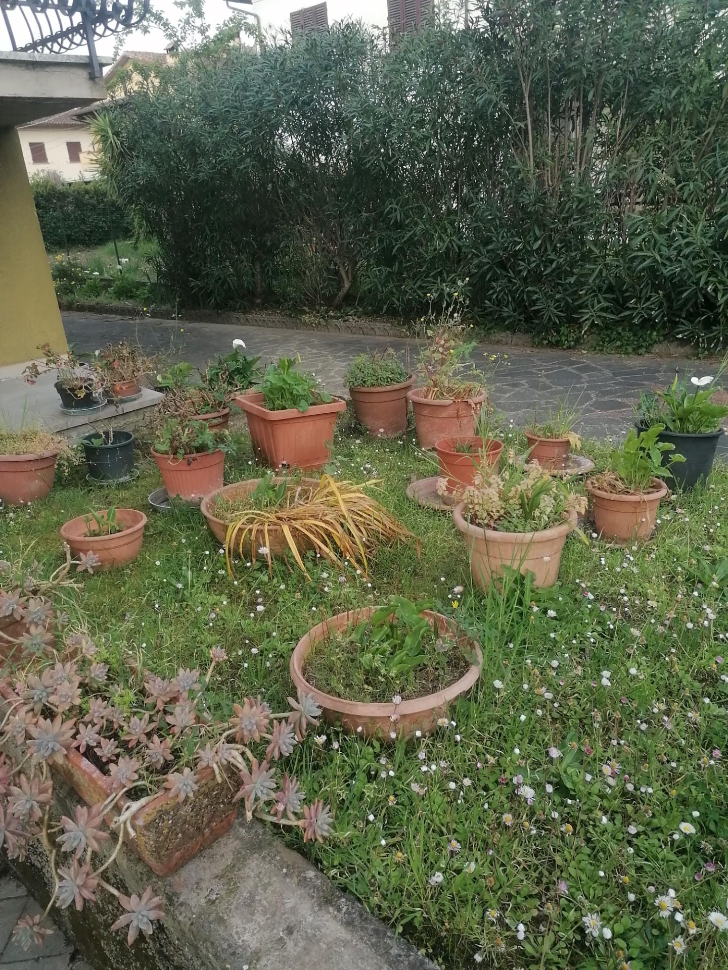 Villa - Poggetto, Poggio a Caiano (22/22)