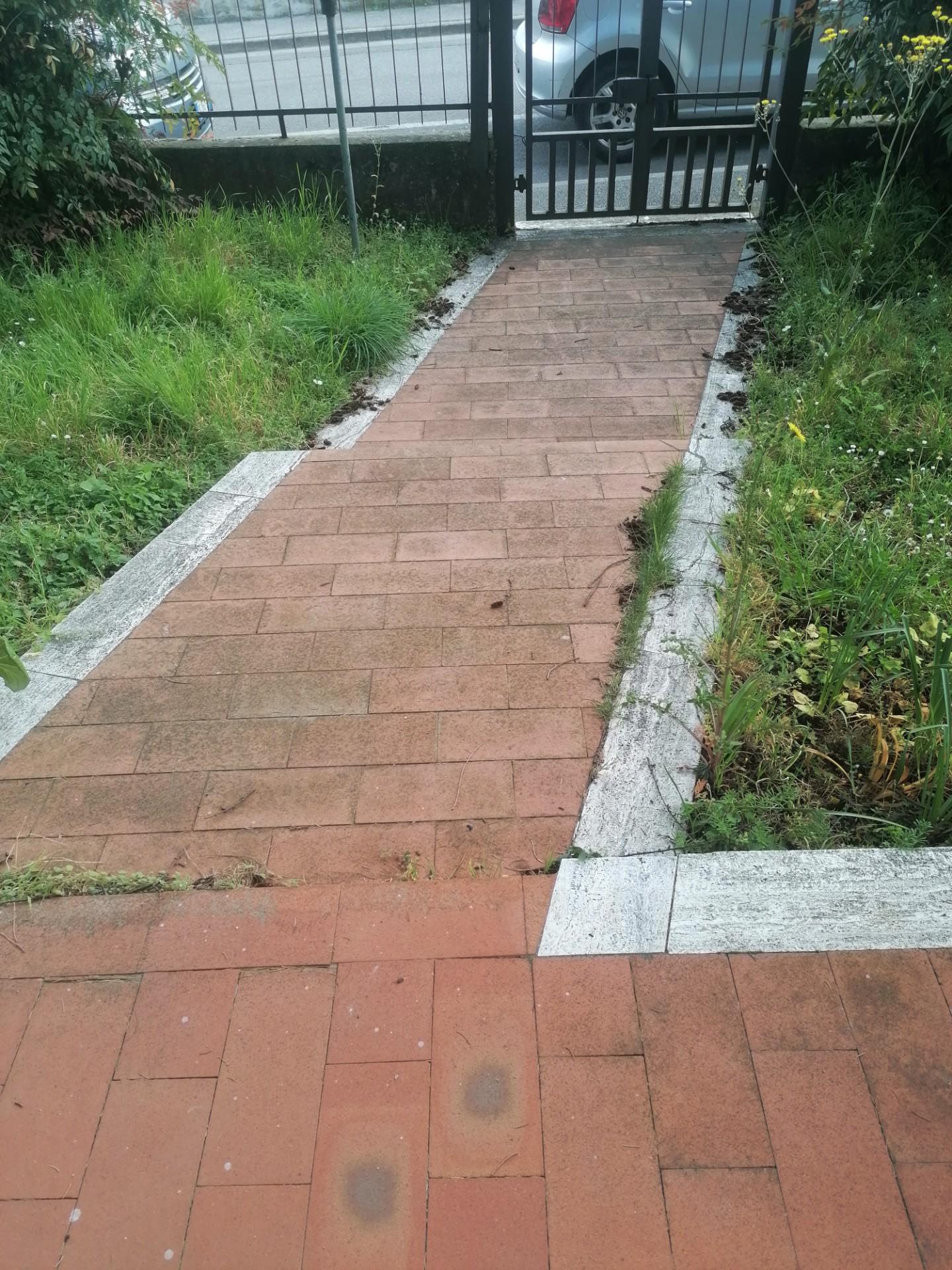 Villa - Poggetto, Poggio a Caiano (3/22)