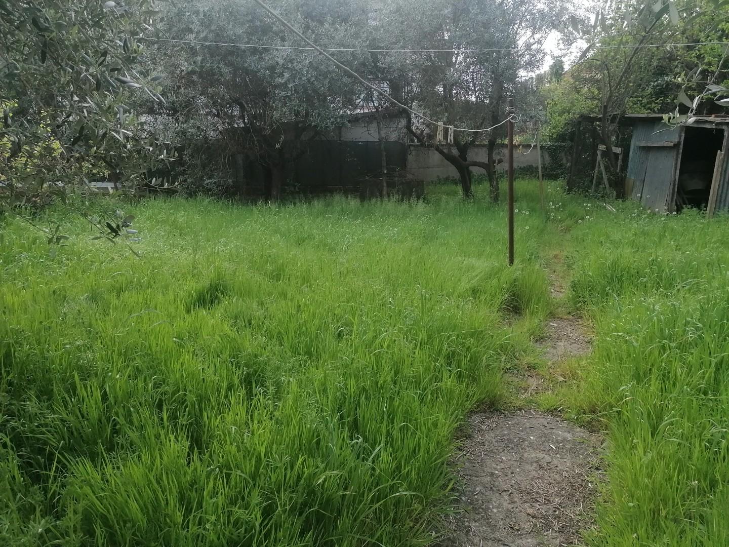 Villa - Poggetto, Poggio a Caiano (4/22)