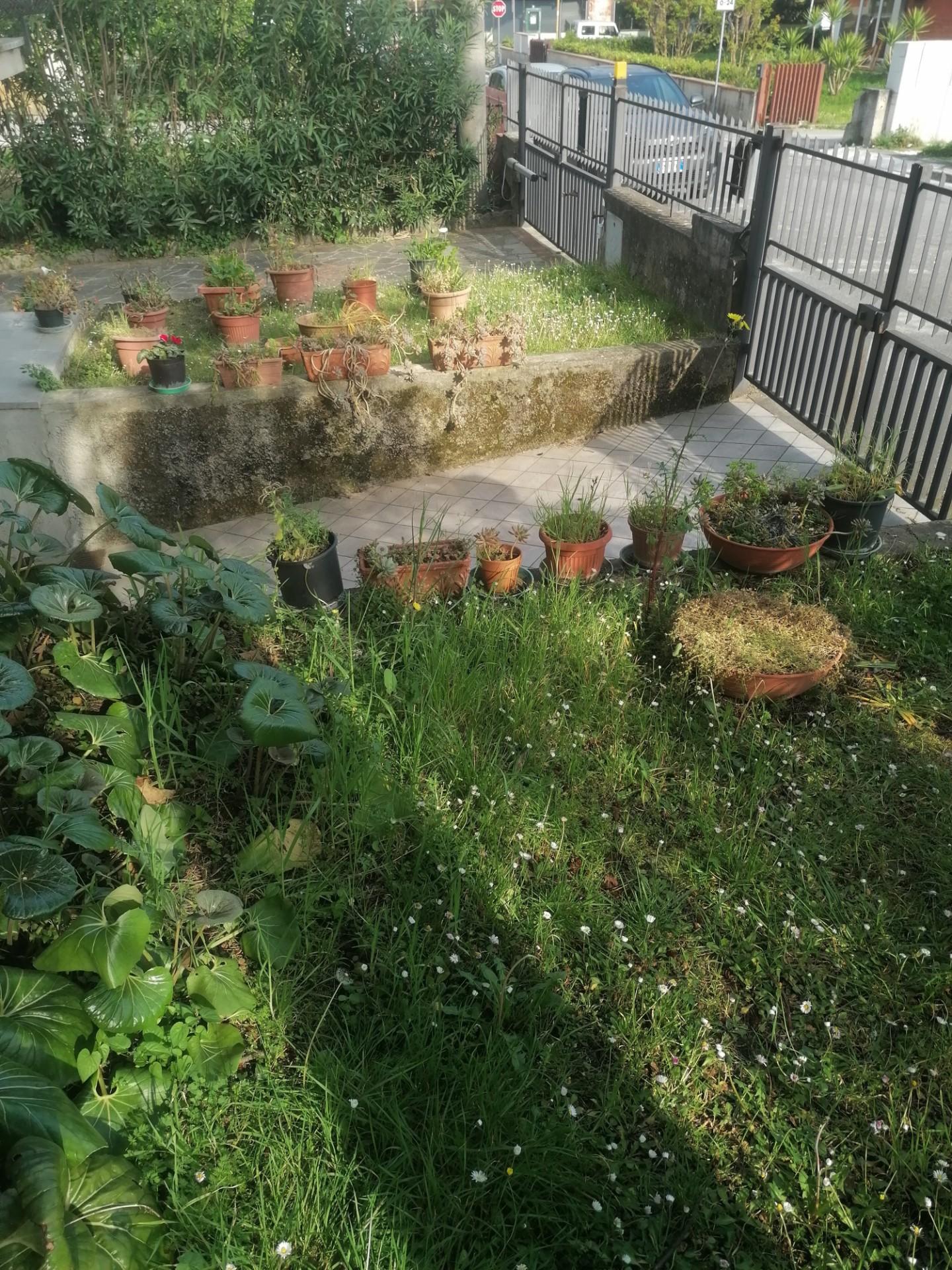 Villa - Poggetto, Poggio a Caiano (2/22)