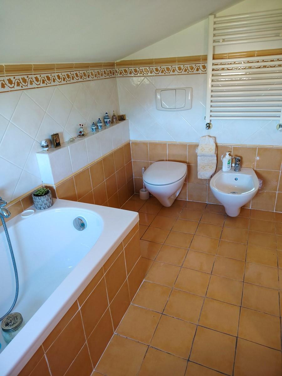 Villa - San Giuliano Terme (51/51)